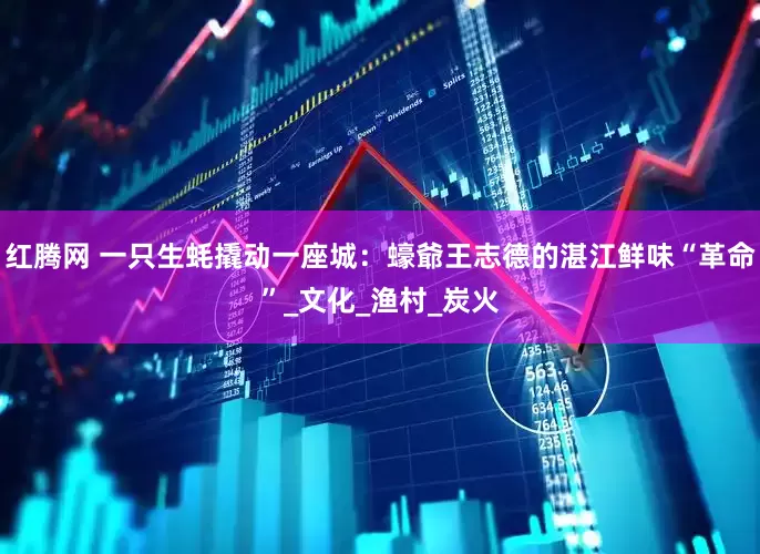 红腾网 一只生蚝撬动一座城：蠔爺王志德的湛江鲜味“革命”_文化_渔村_炭火