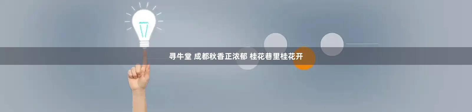 寻牛堂 成都秋香正浓郁 桂花巷里桂花开