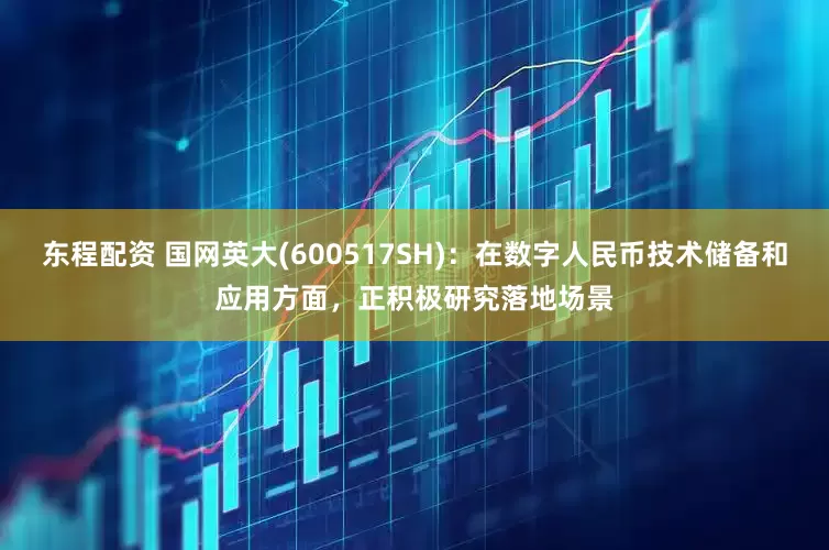 东程配资 国网英大(600517SH)：在数字人民币技术储备和应用方面，正积极研究落地场景